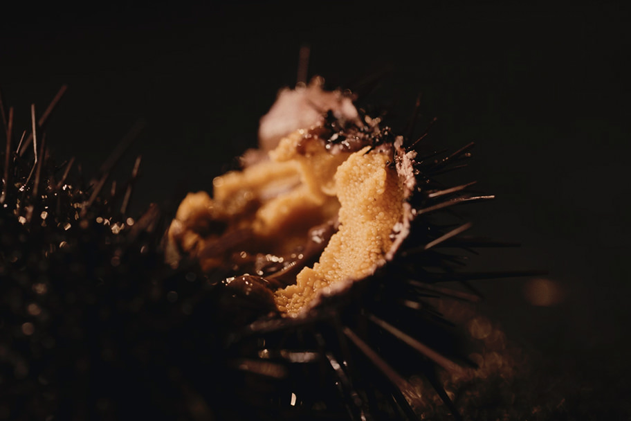 HADATE  RAW UNI FROM HOKKAIDO JAPAN