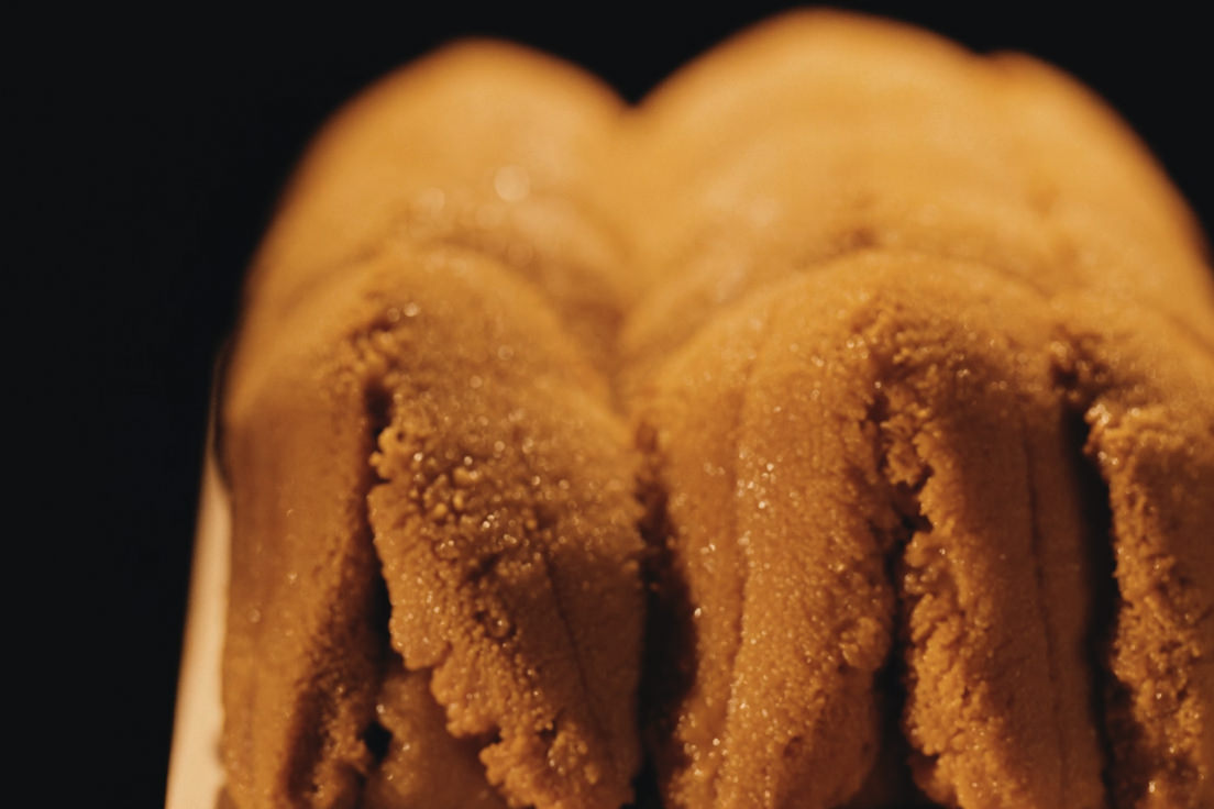 HADATE  RAW UNI FROM HOKKAIDO JAPAN