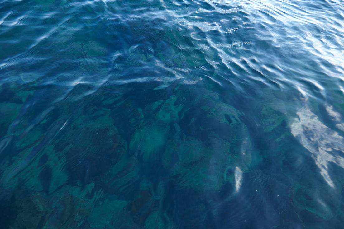 HADATE  RAW UNI FROM HOKKAIDO JAPAN