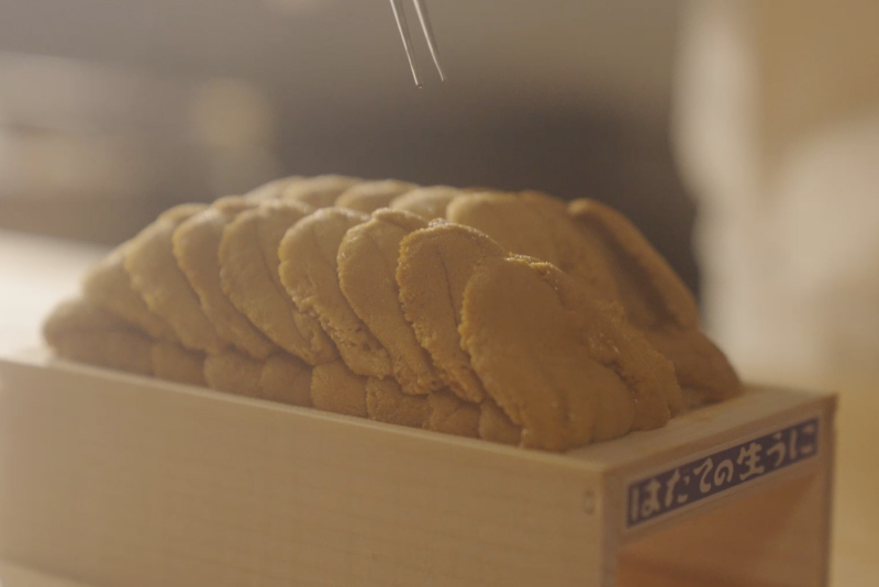 HADATE  RAW UNI FROM HOKKAIDO JAPAN