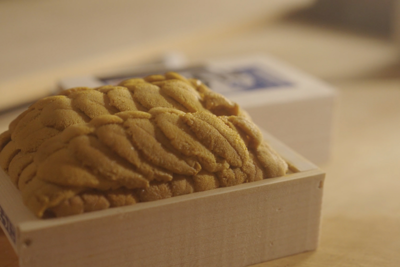 HADATE  RAW UNI FROM HOKKAIDO JAPAN