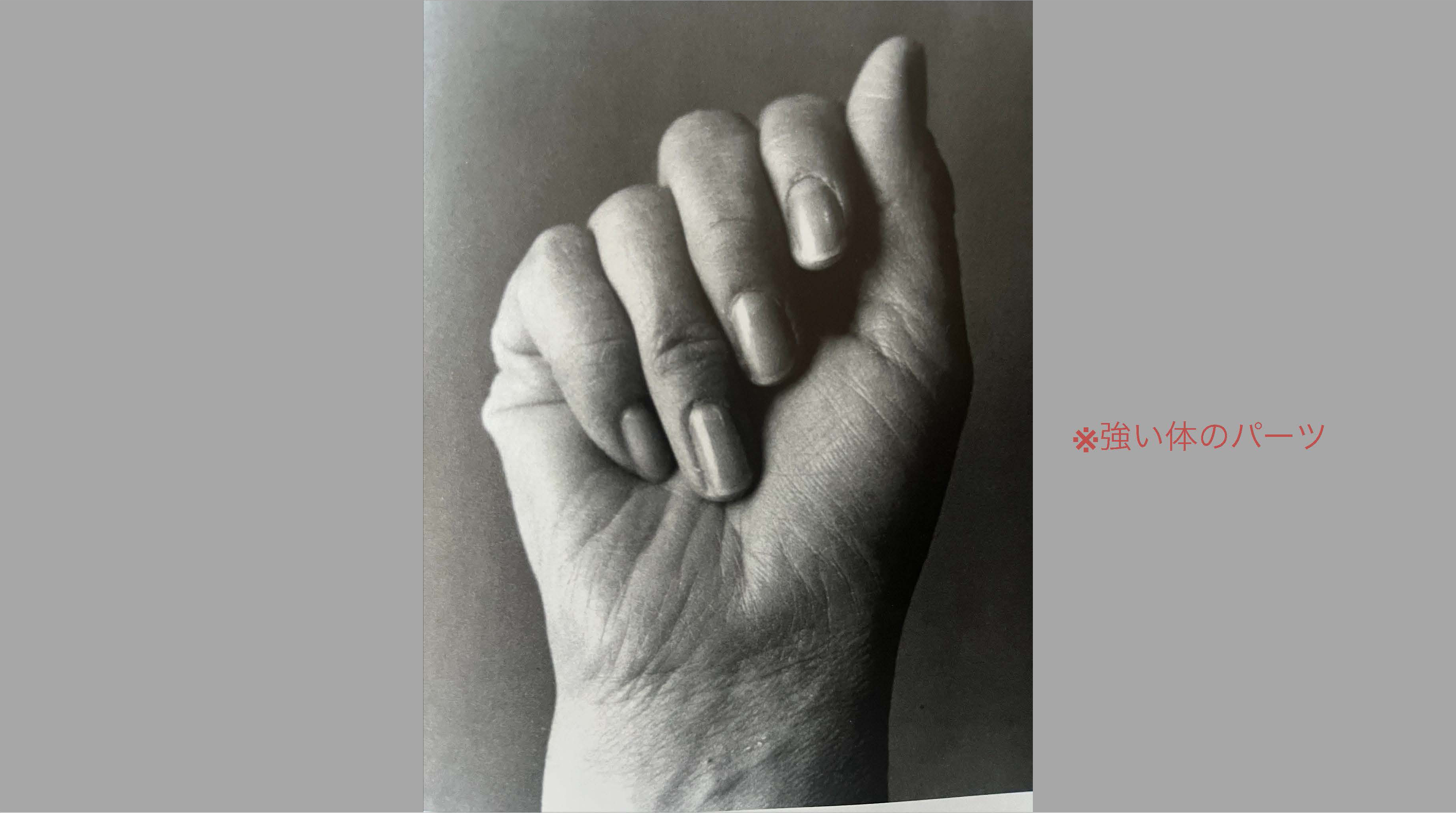 HADATE  RAW UNI FROM HOKKAIDO JAPAN