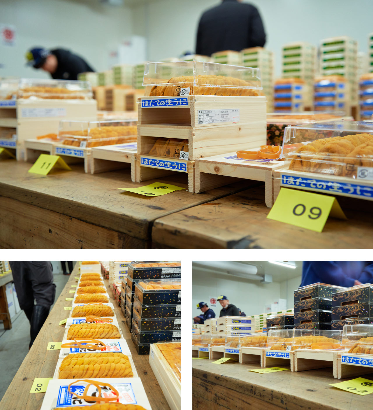 HADATE  RAW UNI FROM HOKKAIDO JAPAN