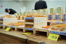 HADATE  RAW UNI FROM HOKKAIDO JAPAN