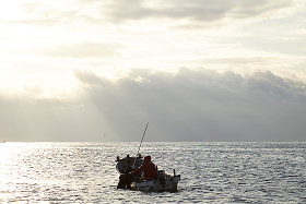 HADATE  RAW UNI FROM HOKKAIDO JAPAN