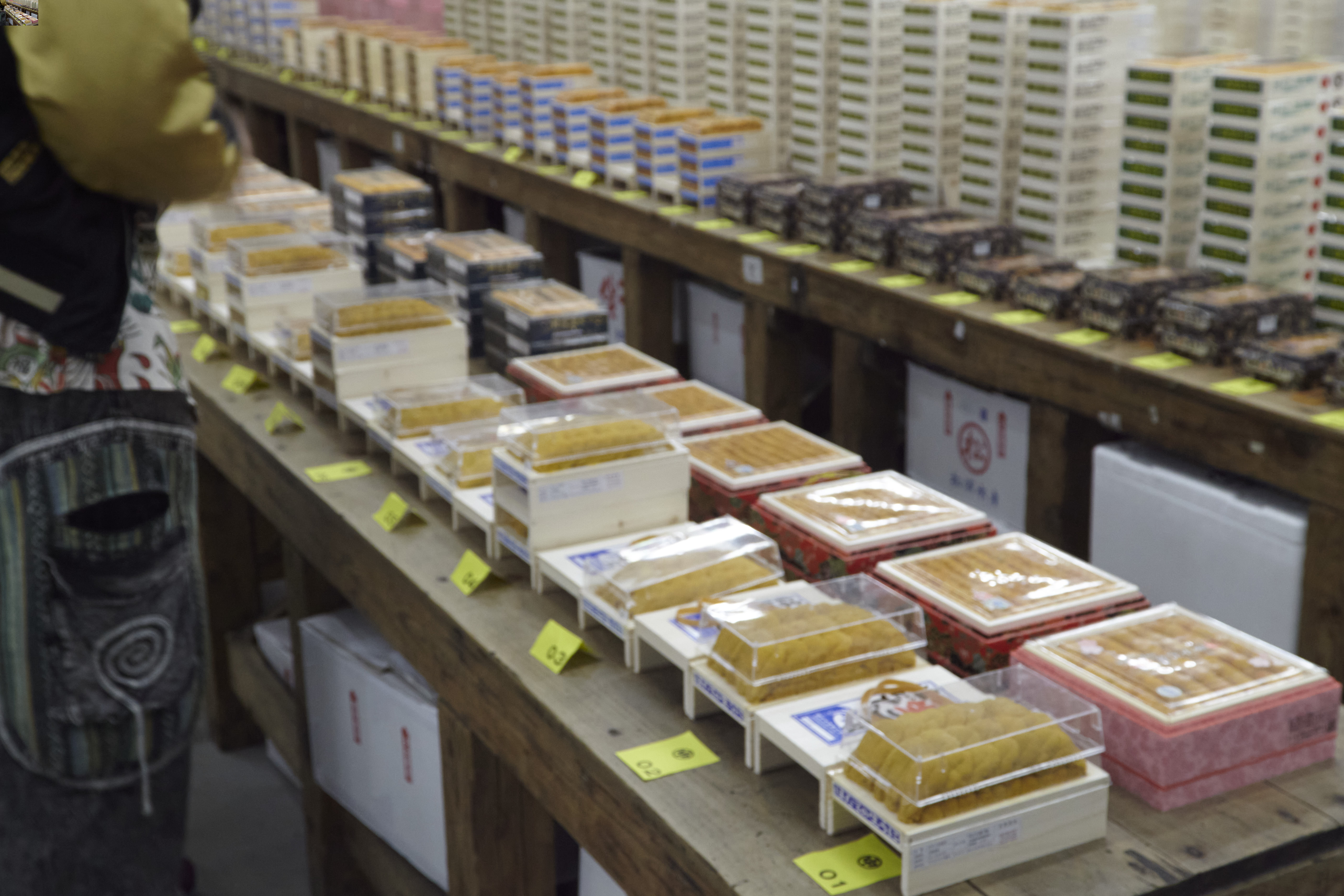 HADATE  RAW UNI FROM HOKKAIDO JAPAN