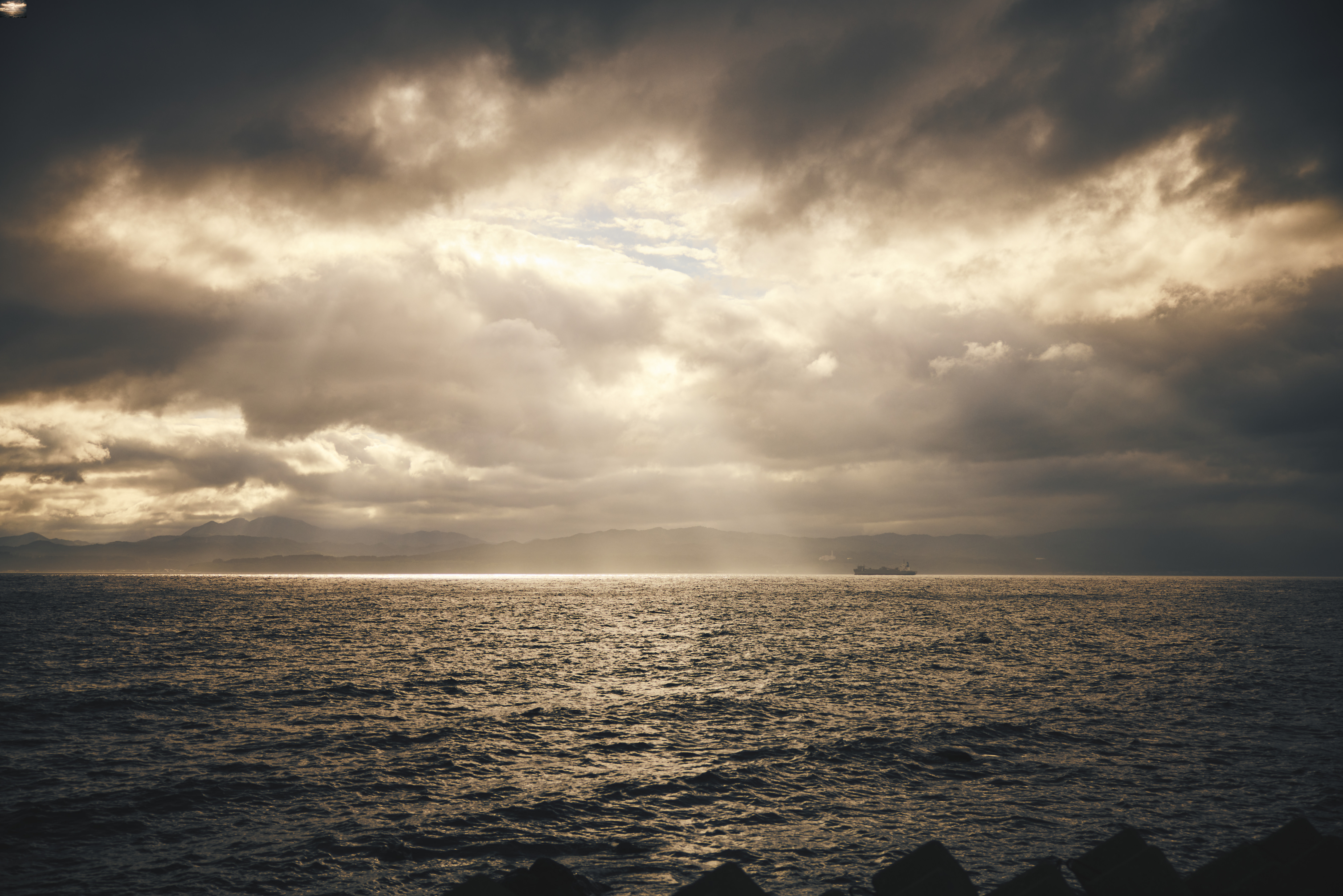 HADATE  RAW UNI FROM HOKKAIDO JAPAN