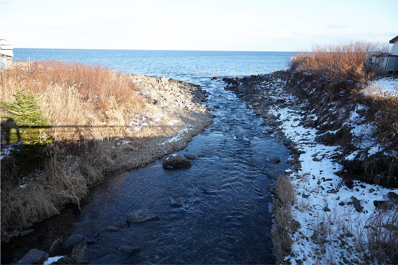 HADATE  RAW UNI FROM HOKKAIDO JAPAN