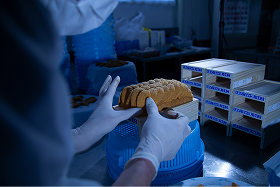 HADATE  RAW UNI FROM HOKKAIDO JAPAN